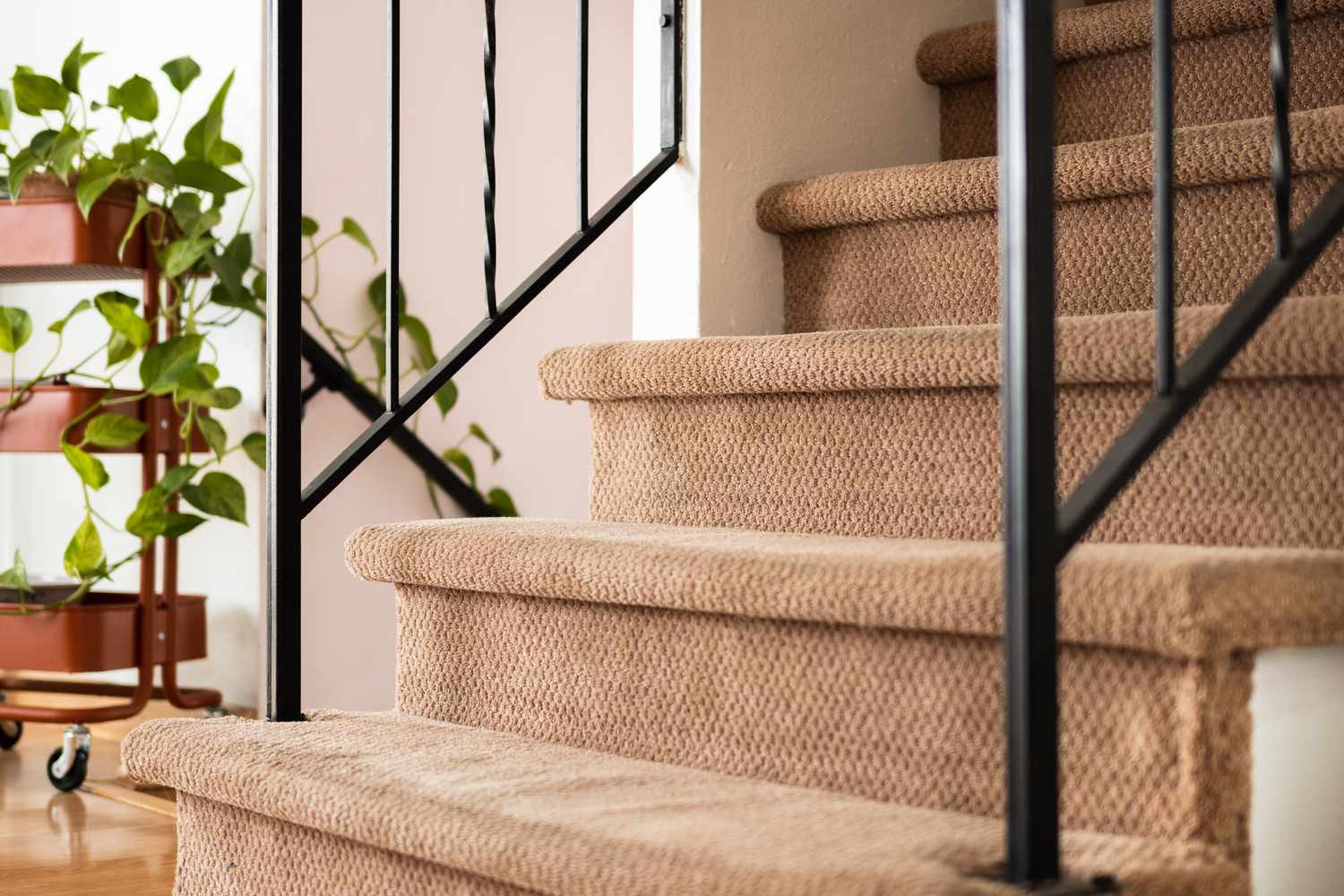 How to Clean Carpet on Stairs?