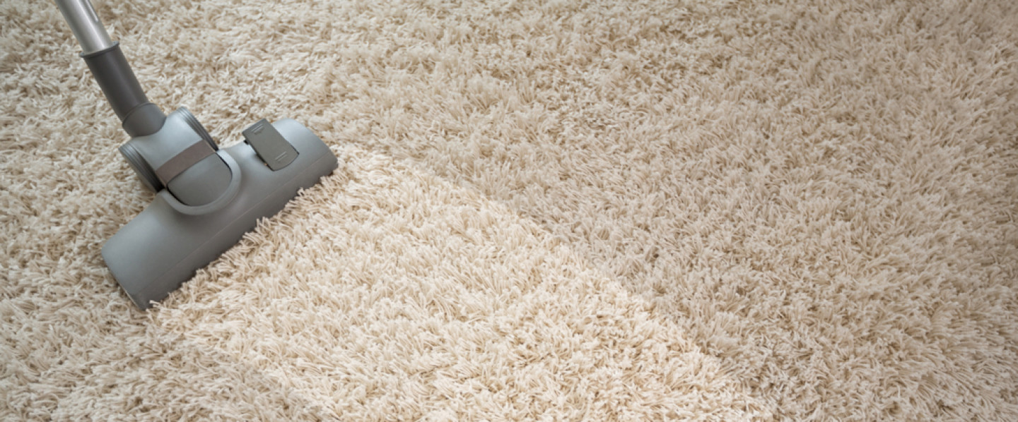 how to clean carpet at home