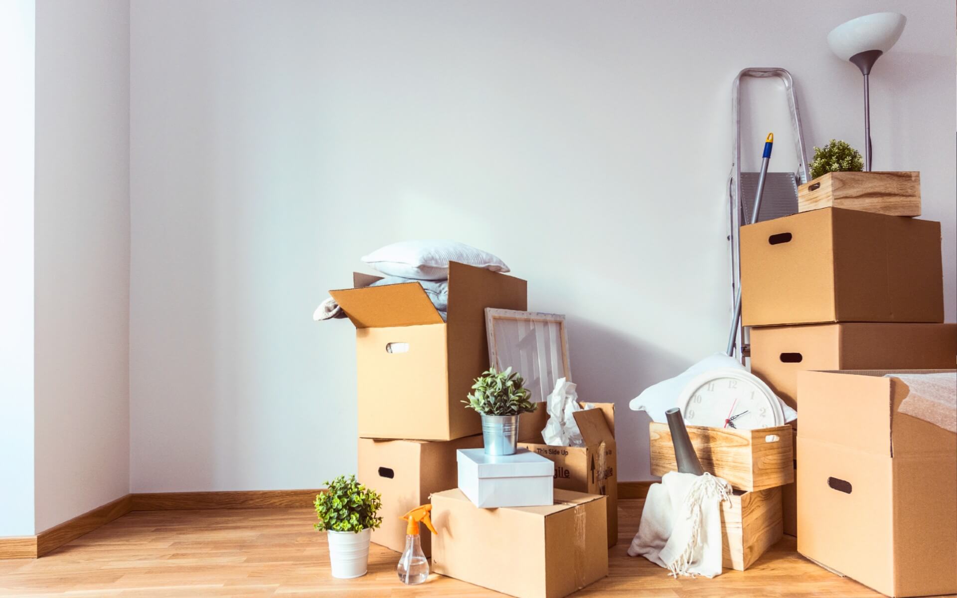 What Does a Move Out Clean Include?