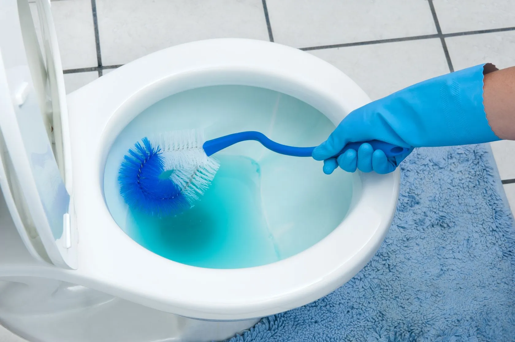 How to Clean the Rim of the Toilet?