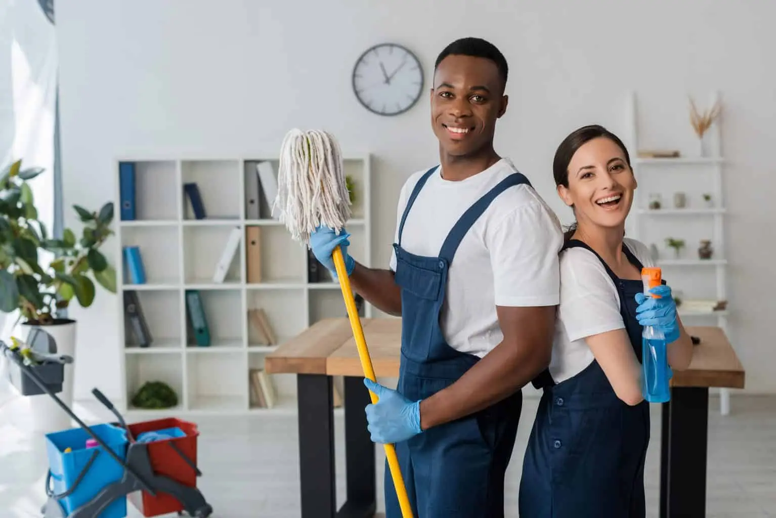 How Much Is a Professional Cleaning Service