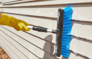 How Do You Clean Vinyl Siding on a House