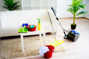 What Is the Best Carpet Cleaning Company for Pet Stains