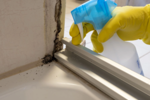 How to Clean Mould From Windows