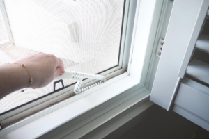 How to Clean Window Screens Without Removing Them