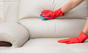 How to Clean Cream Leather Sofa at Home